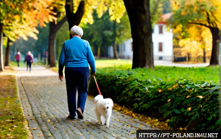 Viver com cão ou gato na Polónia: regras, custos e como escolher serviços essenciais 3 폴란드에서 반려동물 키우기 관련 이미지 1